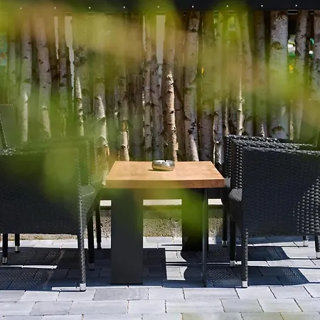 S Guest house