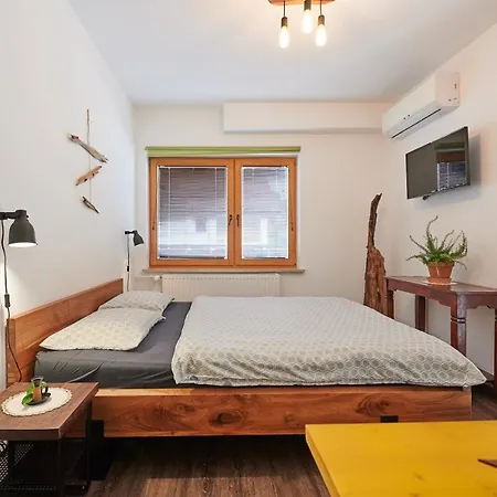 S Guest house 3*