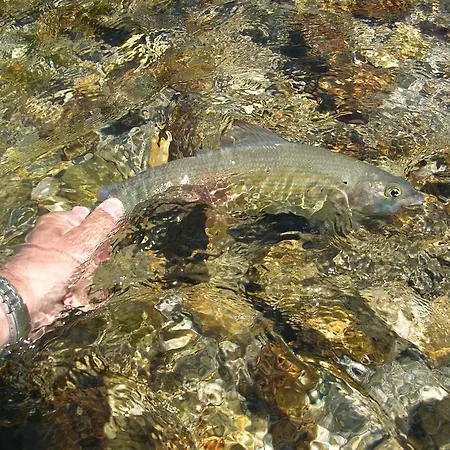 Casa de hóspedes S 3*