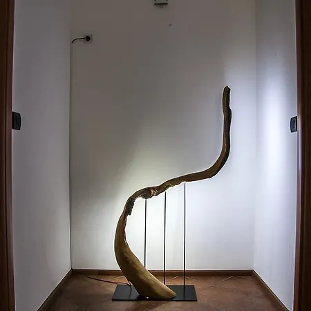 בית הארחה S לוצ'ה