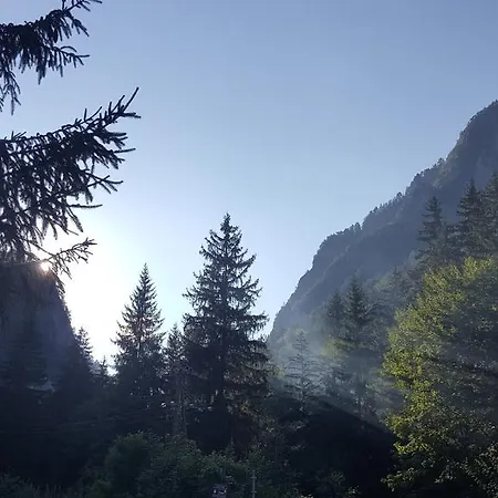 Casa de hóspedes S 3*